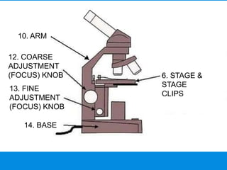 05_a_the_microscope.ppt