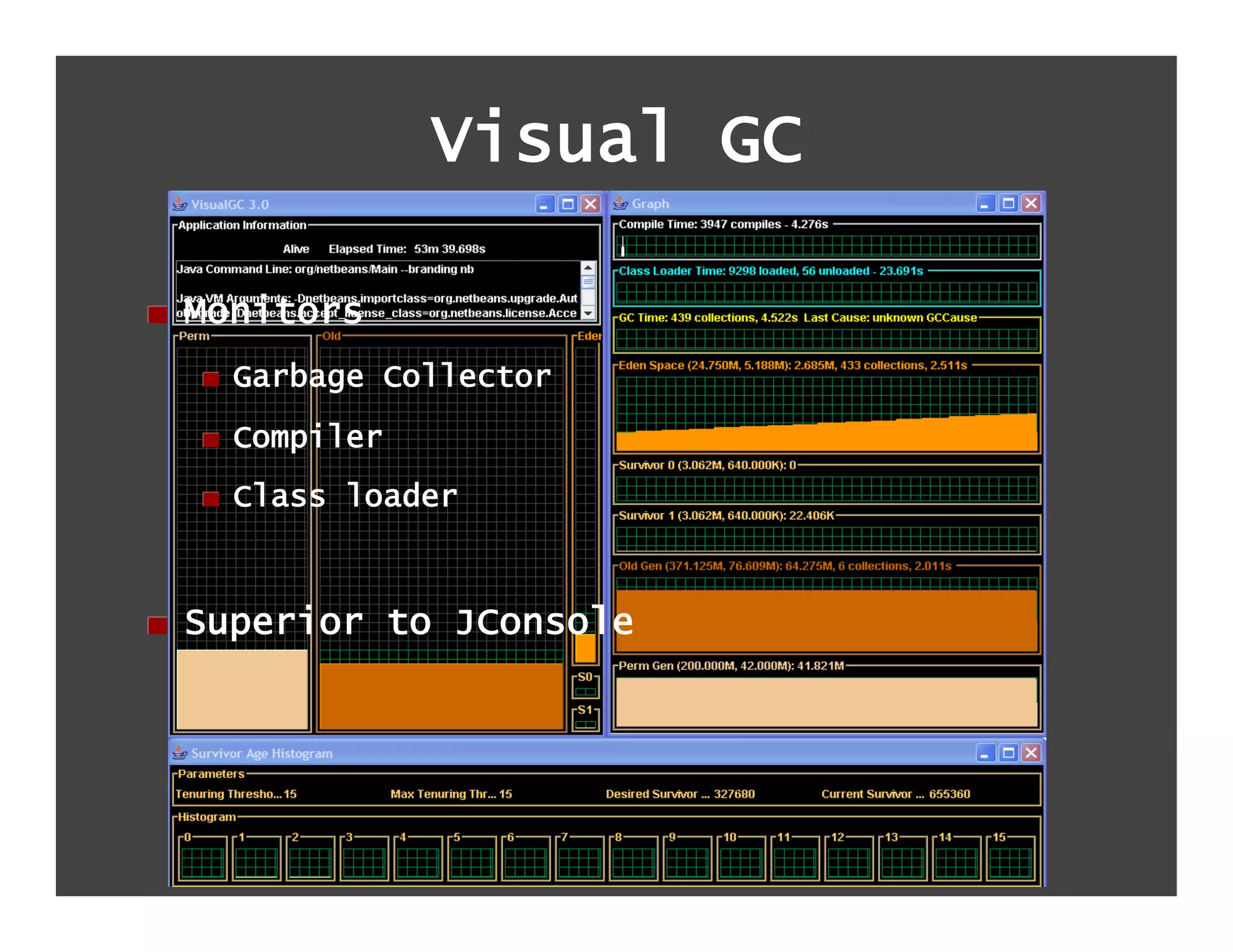 Visual GC

!   Monitors
   !   Garbage Collector
   !   Compiler
   !   Class loader



!   Superior to JConsole
 