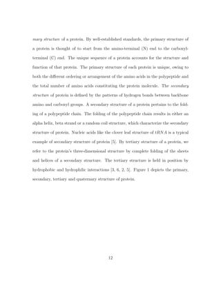 mary structure of a protein. By well-established standards, the primary structure of
a protein is thought of to start from the amino-terminal (N) end to the carboxyl-
terminal (C) end. The unique sequence of a protein accounts for the structure and
function of that protein. The primary structure of each protein is unique, owing to
both the diﬀerent ordering or arrangement of the amino acids in the polypeptide and
the total number of amino acids constituting the protein molecule. The secondary
structure of protein is deﬁned by the patterns of hydrogen bonds between backbone
amino and carboxyl groups. A secondary structure of a protein pertains to the fold-
ing of a polypeptide chain. The folding of the polypeptide chain results in either an
alpha helix, beta strand or a random coil structure, which characterize the secondary
structure of protein. Nucleic acids like the clover leaf structure of tRNA is a typical
example of secondary structure of protein [5]. By tertiary structure of a protein, we
refer to the protein’s three-dimensional structure by complete folding of the sheets
and helices of a secondary structure. The tertiary structure is held in position by
hydrophobic and hydrophilic interactions [3, 6, 2, 5]. Figure 1 depicts the primary,
secondary, tertiary and quaternary structure of protein.
12
 