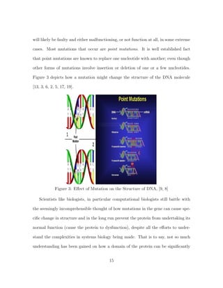 will likely be faulty and either malfunctioning, or not function at all, in some extreme
cases. Most mutations that occur are point mutations. It is well established fact
that point mutations are known to replace one nucleotide with another; even though
other forms of mutations involve insertion or deletion of one or a few nucleotides.
Figure 3 depicts how a mutation might change the structure of the DNA molecule
[13, 3, 6, 2, 5, 17, 19].
Figure 3: Eﬀect of Mutation on the Structure of DNA, [9, 8]
Scientists like biologists, in particular computational biologists still battle with
the seemingly incomprehensible thought of how mutations in the gene can cause spe-
ciﬁc change in structure and in the long run prevent the protein from undertaking its
normal function (cause the protein to dysfunction), despite all the eﬀorts to under-
stand the complexities in systems biology being made. That is to say, not so much
understanding has been gained on how a domain of the protein can be signiﬁcantly
15
 