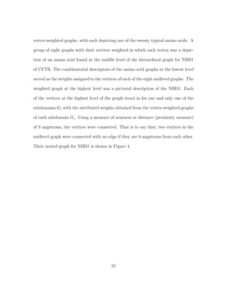 vertex-weighted graphs, with each depicting one of the twenty typical amino acids. A
group of eight graphs with their vertices weighted in which each vertex was a depic-
tion of an amino acid found at the middle level of the hierarchical graph for NBD1
of CFTR. The combinatorial descriptors of the amino acid graphs at the lowest level
served as the weights assigned to the vertices of each of the eight midlevel graphs. The
weighted graph at the highest level was a pictorial description of the NBD1. Each
of the vertices at the highest level of the graph stood in for one and only one of the
subdomains Gi with the attributed weights obtained from the vertex-weighted graphs
of each subdomain Gi. Using a measure of nearness or distance (proximity measure)
of 8 angstroms, the vertices were connected. That is to say that, two vertices in the
midlevel graph were connected with an edge if they are 8 angstroms from each other.
Their nested graph for NBD1 is shown in Figure 4.
25
 