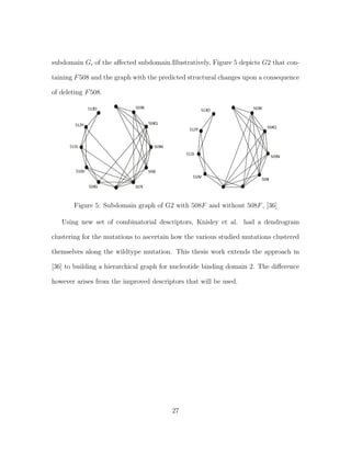 subdomain Gi of the aﬀected subdomain.Illustratively, Figure 5 depicts G2 that con-
taining F508 and the graph with the predicted structural changes upon a consequence
of deleting F508.
Figure 5: Subdomain graph of G2 with 508F and without 508F, [36]
Using new set of combinatorial descriptors, Knisley et al. had a dendrogram
clustering for the mutations to ascertain how the various studied mutations clustered
themselves along the wildtype mutation. This thesis work extends the approach in
[36] to building a hierarchical graph for nucleotide binding domain 2. The diﬀerence
however arises from the improved descriptors that will be used.
27
 