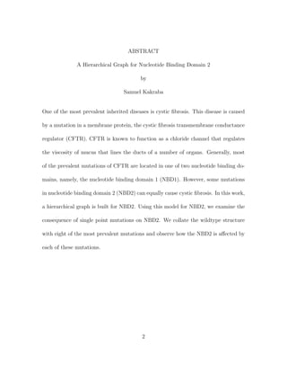 ABSTRACT
A Hierarchical Graph for Nucleotide Binding Domain 2
by
Samuel Kakraba
One of the most prevalent inherited diseases is cystic ﬁbrosis. This disease is caused
by a mutation in a membrane protein, the cystic ﬁbrosis transmembrane conductance
regulator (CFTR). CFTR is known to function as a chloride channel that regulates
the viscosity of mucus that lines the ducts of a number of organs. Generally, most
of the prevalent mutations of CFTR are located in one of two nucleotide binding do-
mains, namely, the nucleotide binding domain 1 (NBD1). However, some mutations
in nucleotide binding domain 2 (NBD2) can equally cause cystic ﬁbrosis. In this work,
a hierarchical graph is built for NBD2. Using this model for NBD2, we examine the
consequence of single point mutations on NBD2. We collate the wildtype structure
with eight of the most prevalent mutations and observe how the NBD2 is aﬀected by
each of these mutations.
2
 