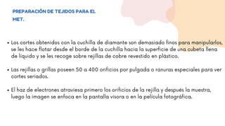 PREPARACIÓN DE TEJIDOS PARA EL
MET.
Los cortes obtenidos con la cuchilla de diamante son demasiado finos para manipularlos,
se les hace flotar desde el borde de la cuchilla hacia la superficie de una cubeta llena
de líquido y se les recoge sobre rejillas de cobre revestido en plástico.
Las rejillas o grillas poseen 50 a 400 orificios por pulgada o ranuras especiales para ver
cortes seriados.
El haz de electrones atraviesa primero los orificios de la rejilla y después la muestra,
luego la imagen se enfoca en la pantalla visora o en la película fotográfica.
 
