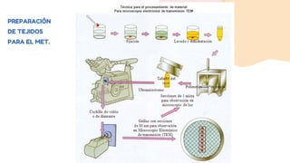 PREPARACIÓN
DE TEJIDOS
PARA EL MET.
 