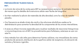 PREPARACIÓN DE TEJIDOS PARA EL
MET.
La tinción de rutina de los cortes para MET es necesaria para aumentar el contraste inherente
de manera que los detalles de la estructura célular sean fáciles de fotografiar:
Se tiñen mediante la adición de materiales de alta densidad, como los iones de metales
pesados.
Con frecuencia se añade nitrato de uranilo a las soluciones alcohólicas usadas en la
deshidratación para aumentar la densidad de los componentes de las uniones intercelulares.
A veces se utilizan tinciones especiales para visualizar resultados de reacciones histoquimicas
o inmunocitoquimicas con el MET, los procedimientos para fosfatasas y esterasas se usan con
este fin.
Estos métodos han sido útiles para determinar fuentes celulares, vías intracelulares de ciertos
productos de secreción, distribución de la superficie celular de receptores y la ubicación de
sustratos y fármacos ingeridos.
 