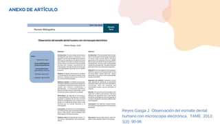 ANEXO DE ARTÍCULO
Reyes Gasga J. Observación del esmalte dental
humano con microscopia electrónica. TAME. 2013;
1(3): 90-96
 