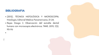 BIBLIOGRAFIA
(2012). TÉCNICA HISTOLÓGICA Y MICROSCOPIA.
Histología. Editorial Médica Panamericana. 21-24.
Reyes Gasga J. Observación del esmalte dental
humano con microscopia electrónica. TAME. 2013; 1(3):
90-96
j
 