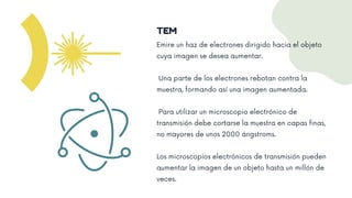 TEM
Emire un haz de electrones dirigido hacia el objeto
cuya imagen se desea aumentar.
Una parte de los electrones rebotan contra la
muestra, formando así una imagen aumentada.
Para utilizar un microscopio electrónico de
transmisión debe cortarse la muestra en capas finas,
no mayores de unos 2000 ángstroms.
Los microscopios electrónicos de transmisión pueden
aumentar la imagen de un objeto hasta un millón de
veces.
 
