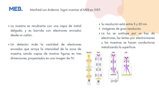 MEB. Manfred von Ardenne logró inventar el MEB en 1937.
La muestra es recubierta con una capa de metal
delgado, y es barrida con electrones enviados
desde un cañón.
Un detector mide la cantidad de electrones
enviados que arroja la intensidad de la zona de
muestra, siendo capaz de mostrar figuras en tres
dimensiones, proyectados en una imagen de TV.
Su resolución está entre 3 y 20 nm.
Imágenes de gran resolución.
La luz se sustituye por un haz de
electrones, las lentes por electroimanes
y las muestras se hacen conductoras
metalizando la superficie.
 