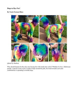 Dogs to Dye For!
By Tracie Forman Hines
(photo by #barksa)
Why should humans be the only ones having fun with trendy hair colors? Whether it's for a Halloween
parade, a special event or just a couple of laps around the park, the trend towards cool color
combinations is spreading to include dogs.
 