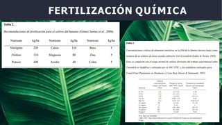 FERTILIZACIÓN QUÍMICA
 