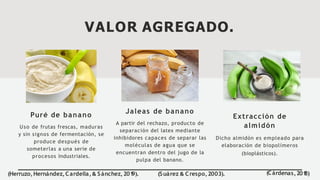 VALOR AGREGADO.
Puré de banano
Uso de frutas frescas, maduras
y sin signos de fermentación, se
produce después de
someterlas a una serie de
procesos Industriales.
Jaleas de banano
A partir del rechazo, producto de
separación del latex mediante
inhibidores capaces de separar las
moléculas de agua que se
encuentran dentro del jugo de la
pulpa del banano.
Extracción de
almidón
Dicho almidón es empleado para
elaboración de biopolímeros
(bioplásticos).
(Cárdenas,201
8)
(Herruzo,Hernández,Cardella,& Sánchez,201
9). (Suárez & Crespo,2003).
 