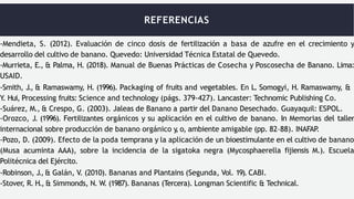 REFERENCIAS
-Mendieta, S. (2012). Evaluación de cinco dosis de fertilización a basa de azufre en el crecimiento y
desarrollo del cultivo de banano. Quevedo: Universidad Técnica Estatal de Quevedo.
-Murrieta, E., & Palma, H. (2018). Manual de Buenas Prácticas de Cosecha y Poscosecha de Banano. Lima:
USAID.
-Smith, J., & Ramaswamy, H. (1996). Packaging of fruits and vegetables. En L. Somogyi, H. Ramaswamy, &
Y. Hui, Processing fruits: Science and technology (págs. 379-427). Lancaster: Technomic Publishing Co.
-Suárez, M., & Crespo, G. (2003). Jaleas de Banano a partir del Danano Desechado. Guayaquil: ESPOL.
-Orozco, J. (1996). Fertilizantes orgánicos y su aplicación en el cultivo de banano. In Memorias del taller
internacional sobre producción de banano orgánico y
, o, ambiente amigable (pp. 82–88). INAFAP
.
-Pozo, D. (2009). Efecto de la poda temprana y la aplicación de un bioestimulante en el cultivo de banano
(Musa acuminta AAA), sobre la incidencia de la sigatoka negra (Mycosphaerella fijiensis M.). Escuela
Politécnica del Ejército.
-Robinson, J., & Galán, V. (2010). Bananas and Plantains (Segunda, Vol. 19). CABI.
-Stover, R. H., & Simmonds, N. W. (1987). Bananas (Tercera). Longman Scientific & Technical.
 