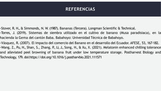 REFERENCIAS
-Stover, R. H., & Simmonds, N. W. (1987). Bananas (Tercera). Longman Scientific & Technical.
-Torres, J. (2019). Sistemas de siembra utilizado en el cultivo de banano (Musa paradisiaca), en la
hacienda la Gema del cantón Baba. Babahoyo: Universidad Técnica de Babahoyo.
-Vásquez, R. (2007). El impacto del comercio del Banano en el desarrollo del Ecuador. AFESE, 53, 167-182.
-Wang, Z., Pu, H., Shan, S., Zhang, P
., Li, J., Song, H., & Xu, X. (2021). Melatonin enhanced chilling tolerance
and alleviated peel browning of banana fruit under low temperature storage. Postharvest Biology and
Technology, 179. doi:https://doi.org/10.1016/j.postharvbio.2021.111571
 