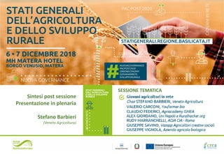 Sintesi post sessione
Presentazione in plenaria
Stefano Barbieri
(Veneto Agricoltura)
SESSIONE TEMATICA
 