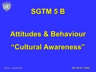 SGTM 1.1@30JUNE03 TES / Mil Div / DPKO
SGTM 5 B
Attitudes & Behaviour
“Cultural Awareness”
 