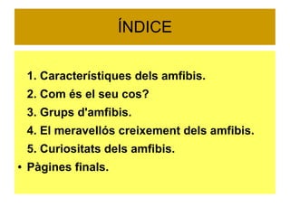 ÍNDICE 
1. Característiques dels amfibis. 
2. Com és el seu cos? 
3. Grups d'amfibis. 
4. El meravellós creixement dels amfibis. 
5. Curiositats dels amfibis. 
● Pàgines finals. 
 