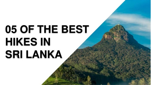 05 OF THE BEST
HIKES IN
SRI LANKA
 