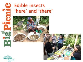 Edible insects
‘here’ and ‘there’
 