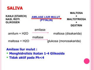 SALIVA
amilase
amilum + H2O maltosa (disakarida)
maltase
maltosa + H2O glukosa (monosakarida)
Amilase liur mulut :
 Menghidrolisis ikatan 1-4 Glikosida
 Tidak aktif pada Ph<4
KANJI (STARCH)
NASI, ROTI
GLIKOGEN
AMILASE LIUR MULUT
(PTYALIN)
MALTOSA
+
MALTOTRIOSA
+
DEXTRIN
 