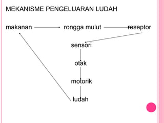 MEKANISME PENGELUARAN LUDAH
makanan rongga mulut reseptor
sensori
otak
motorik
ludah
 
