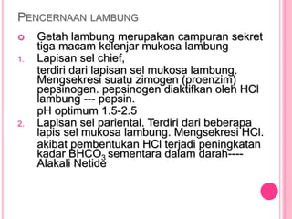 PENCERNAAN LAMBUNG
 Getah lambung merupakan campuran sekret
tiga macam kelenjar mukosa lambung
1. Lapisan sel chief,
terdiri dari lapisan sel mukosa lambung.
Mengsekresi suatu zimogen (proenzim)
pepsinogen. pepsinogen diaktifkan oleh HCl
lambung --- pepsin.
pH optimum 1.5-2.5
2. Lapisan sel pariental. Terdiri dari beberapa
lapis sel mukosa lambung. Mengsekresi HCl.
akibat pembentukan HCl terjadi peningkatan
kadar BHCO3 sementara dalam darah----
Alakali Netide
 