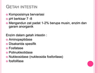 GETAH INTESTIN
 Komposisinya bervariasi
 pH berkisar 7 -8
 Mengandun zat padat 1-2% berupa musin, enzim dan
garam anorganik
Enzim dalam getah intestin :
 Aminopeptidase
 Disakarida spesifik
 Fosfatase
 Polinukleotidase
 Nukleosidase (nukleosida fosforilase)
 fosfolifase
 