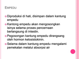 EMPEDU
 Diproduksi di hati, disimpan dalam kantung
empedu
 Kantong empedu akan mengosongkan
isinya selama proses pencernaan
berlangsung di intestin.
 Pegosongan kantung empedu dirangsang
oleh hormon kelosistokinin.
 Selama dalam kantung empedu mengalami
pemekatan melalui absorpsi air
 