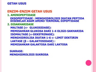 GETAH USUS
ENZIM-ENZIM GETAH USUS
1. AMINOPEPTIDASE
EKSOPEPTIDASE : MENGHIDROLISIS IKATAN PEPTIDA
DISEBELAH ASAM AMINO TERMINAL DIPEPTIDASE
2. DISAKHARIDASE
MALTASE (∝- GLUKOSIDASE):
MEMISAHKAN GLUKOSA DARI 1-4 OLIGO-SAKHARIDA
ISOMALTASE (∝-DEKSTRINASE):
MENGHIDROLISA IKATAN 1-6 ∝- LIMIT DEKTIRIN
LAKTASE (β – GALAKTOSIDASE) :
MEMISAHKAN GALAKTOSA DARI LAKTOSA
SUKRASE:
MENGHIDROLISIS SUKROSA
 