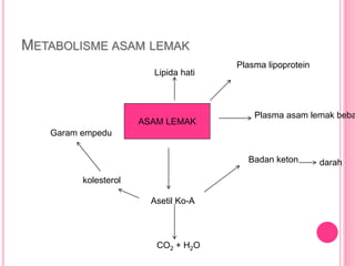METABOLISME ASAM LEMAK
ASAM LEMAK
Lipida hati
Plasma lipoprotein
Plasma asam lemak beba
Badan keton darah
Asetil Ko-A
CO2 + H2O
kolesterol
Garam empedu
 