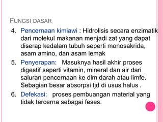 FUNGSI DASAR
4. Pencernaan kimiawi : Hidrolisis secara enzimatik
dari molekul makanan menjadi zat yang dapat
diserap kedalam tubuh seperti monosakrida,
asam amino, dan asam lemak
5. Penyerapan: Masuknya hasil akhir proses
digestif seperti vitamin, mineral dan air dari
saluran pencernaan ke dlm darah atau limfe.
Sebagian besar absorpsi tjd di usus halus .
6. Defekasi: proses pembuangan material yang
tidak tercerna sebagai feses.
 