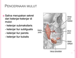 PENCERNAAN MULUT
 Saliva merupakan sekret
dari kelenjar-kelenjar di
mulut:
- kelenjar submaksilaris
- kelenjar liur subligualis
- kelenjar liur parotis
- kelenjar liur bukalis
 