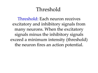 Example Threshold Brain Introductory Psychology: Biopsychology | PPT