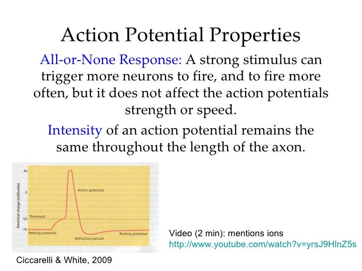 Introductory Psychology Biopsychology