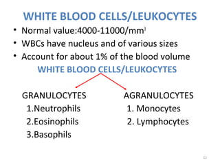 12
WHITE BLOOD CELLS/LEUKOCYTES
• Normal value:4000-11000/mm3
• WBCs have nucleus and of various sizes
• Account for about 1% of the blood volume
WHITE BLOOD CELLS/LEUKOCYTES
GRANULOCYTES AGRANULOCYTES
1.Neutrophils 1. Monocytes
2.Eosinophils 2. Lymphocytes
3.Basophils
 