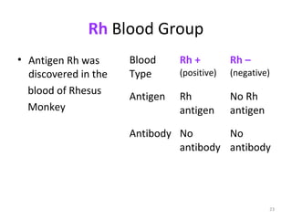 23
Rh Blood Group
• Antigen Rh was
discovered in the
blood of Rhesus
Monkey
Blood
Type
Rh +
(positive)
Rh –
(negative)
Antigen Rh
antigen
No Rh
antigen
Antibody No
antibody
No
antibody
 