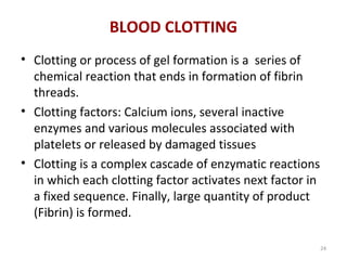 24
BLOOD CLOTTING
• Clotting or process of gel formation is a series of
chemical reaction that ends in formation of fibrin
threads.
• Clotting factors: Calcium ions, several inactive
enzymes and various molecules associated with
platelets or released by damaged tissues
• Clotting is a complex cascade of enzymatic reactions
in which each clotting factor activates next factor in
a fixed sequence. Finally, large quantity of product
(Fibrin) is formed.
 