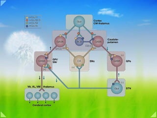 05b motor system upper motor neuron | PDF