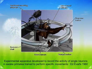 Experimental apparatus developed to record the activity of single neurons
in awake primates trained to perform specific movements : Ed Evarts 1960
 
