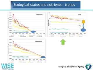 Ecological status and nutrients - trends
Concentration levels
comparable to good
status won’t be
achieved even in 2028
 