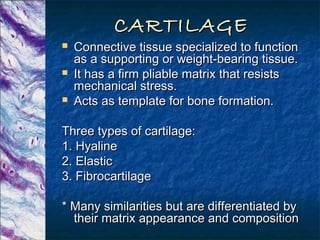 Cartilage and Bone | PPT