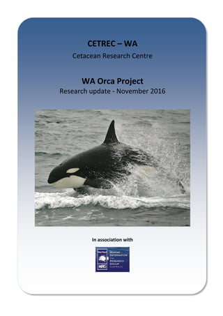 In	association	with	
CETREC	–	WA	
Cetacean	Research	Centre	
WA	Orca	Project	
Research	update	-	November	2016	
 