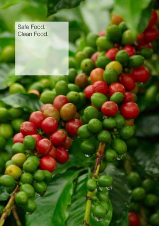 Safe Food.
Clean Food.
 