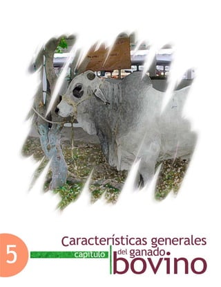 Capítulo 5. Características generales del ganado bovino
Facultad de Medicina Veterinaria y Zootecnia-UNAM 229
Capítulo 5. Características generales del ganado bovino
 