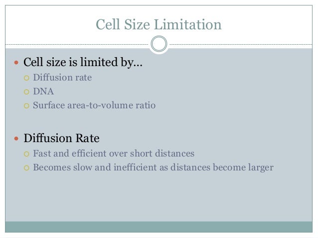 06 cell growth and reproduction cell size is limited by