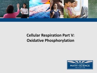 Cellular Respiration Part V:
Oxidative Phosphorylation
 