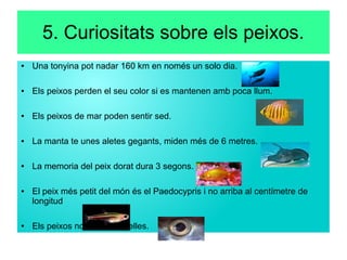 5. Curiositats sobre els peixos.
● Una tonyina pot nadar 160 km en només un solo dia.
● Els peixos perden el seu color si es mantenen amb poca llum.
● Els peixos de mar poden sentir sed.
● La manta te unes aletes gegants, miden més de 6 metres.
● La memoria del peix dorat dura 3 segons.
● El peix més petit del món és el Paedocypris i no arriba al centímetre de
longitud
● Els peixos no tenen parpelles.
 