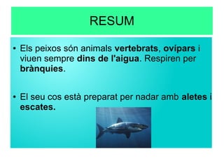 RESUM
● Els peixos són animals vertebrats, ovípars i
viuen sempre dins de l'aigua. Respiren per
brànquies.
● El seu cos està preparat per nadar amb aletes i
escates.
 