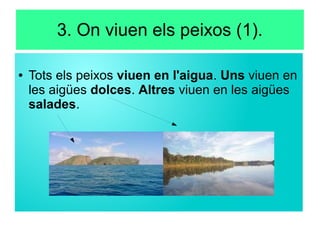3. On viuen els peixos (1).
● Tots els peixos viuen en l'aigua. Uns viuen en
les aigües dolces. Altres viuen en les aigües
salades.
 